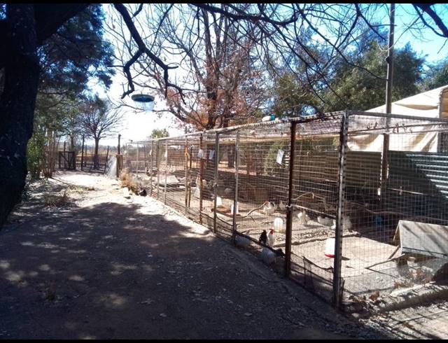 FARM FOR SALE IN NANESCOL